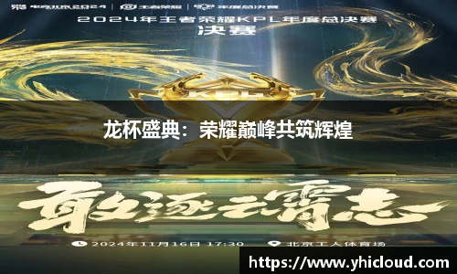 龙杯盛典：荣耀巅峰共筑辉煌