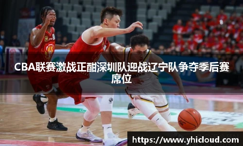 CBA联赛激战正酣深圳队迎战辽宁队争夺季后赛席位